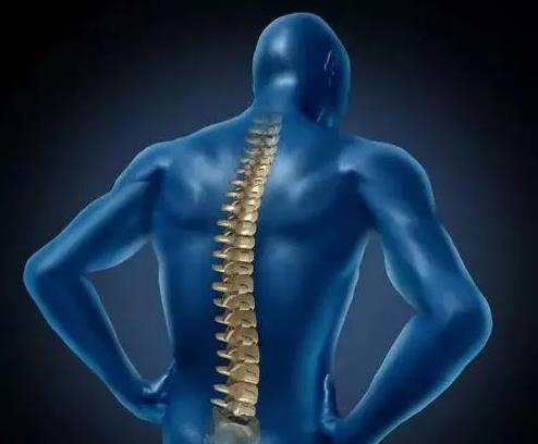 如何判断我们的脊椎是否出现了问题呢？